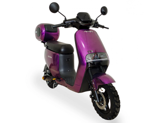 FADA-N9-purple-1