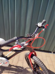 IMG_20240924_1344024