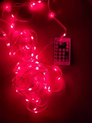 IMG_20241127_102316