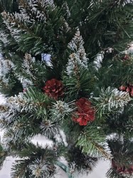 IMG_20241210_113023