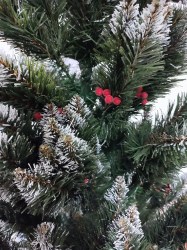 IMG_20241210_113034