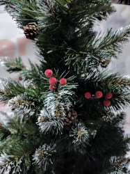IMG_20241210_113039
