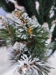 IMG_20241210_113054