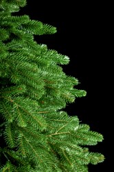 IMG_6217