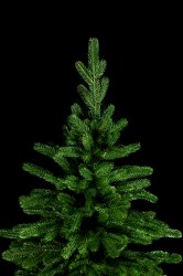 IMG_62487