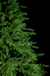 IMG_62522