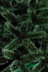 IMG_6293