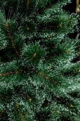 IMG_6295