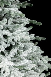 IMG_6357